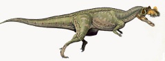 † Ceratosaurus nasicornis(vor etwa 157,3 bis 145 Millionen Jahren)
